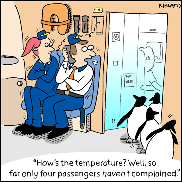 AIRPLANE MODE - Paperback