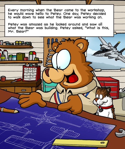 Aviation Children's Book "Petey and the Bear"