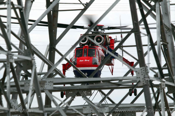 Photo Print "Sun Bird" by Rick Mann