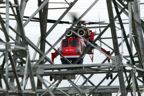 Photo Print "Sun Bird" by Rick Mann