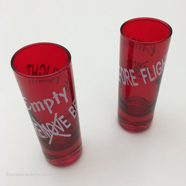 birthday gift aviator